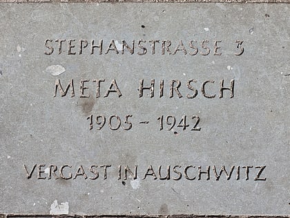 Meta Hirsch