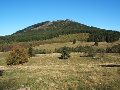 Großer Hermannsberg