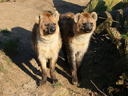 Zoo Osnabrück