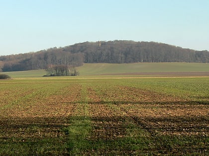 burgberg gehrden