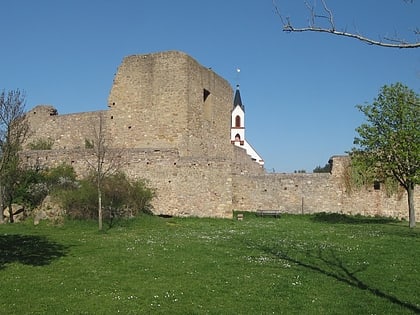 neu baumburg castle