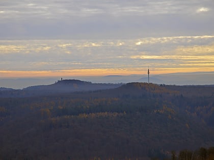 Hortenkopf