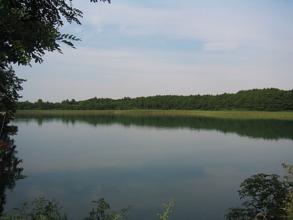 lago breiter luzin