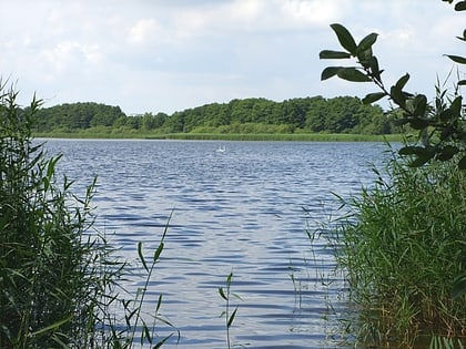 Lago Medeweger