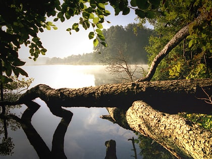 Lac Schaal