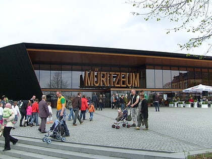 muritzeum waren