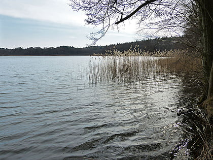 Lago Großer Prebelow