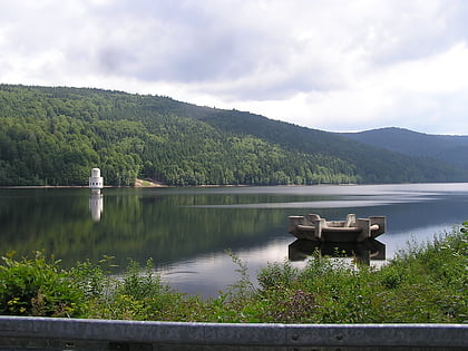 Frauenau Dam