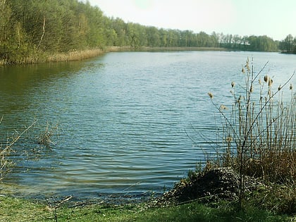 demenzsee