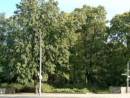 Kleistpark Frankfurt