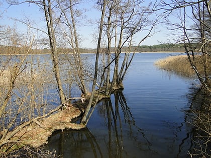 lago klenz