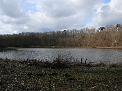 Windsborn Crater Lake