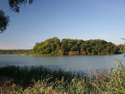 lago ivanacker