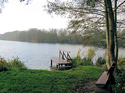 cramoner see