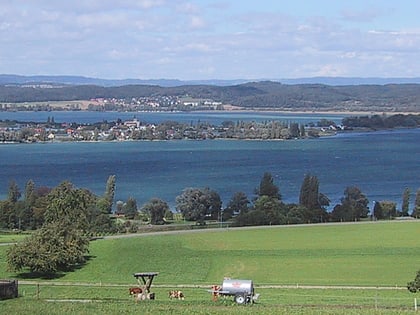 untersee