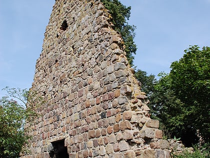 wuste kirche biospharenreservat schorfheide chorin