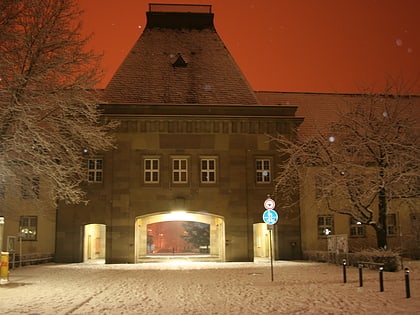 johannes gutenberg university mainz