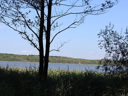 damerower see