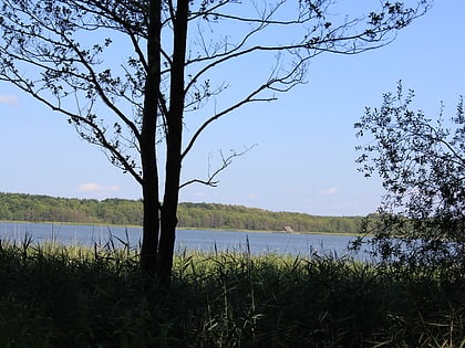 Damerower See