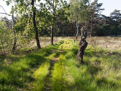 Naturschutzgebiet Schnaakenmoor
