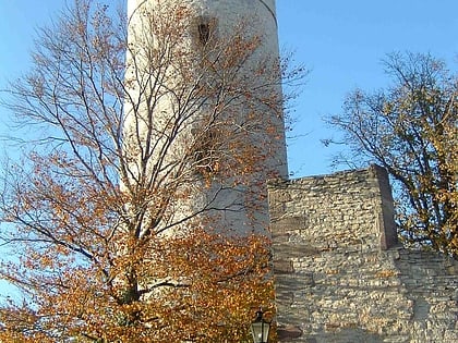 Château de Plesse