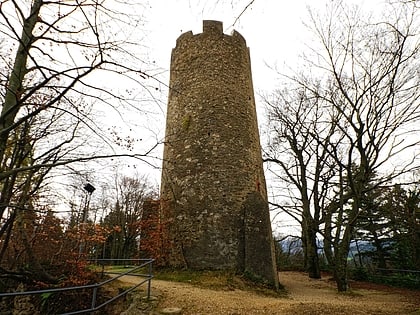 chateau de zahringen fribourg en brisgau