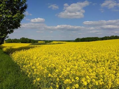 Landratsamt Mecklenburgische Seenplatte