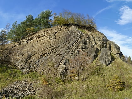 lindenstumpf reserve de biosphere de la rhon