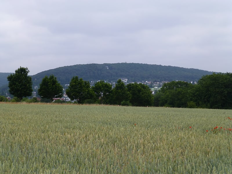 kapellenberg hofheim