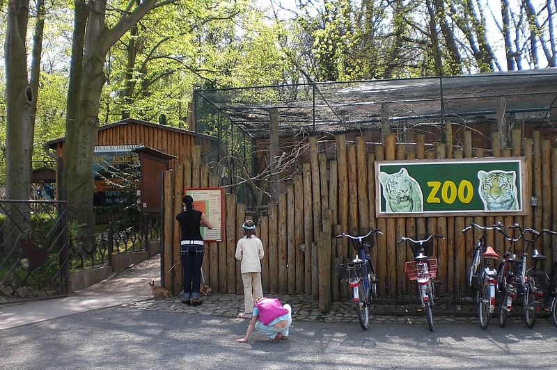 zoo aschersleben