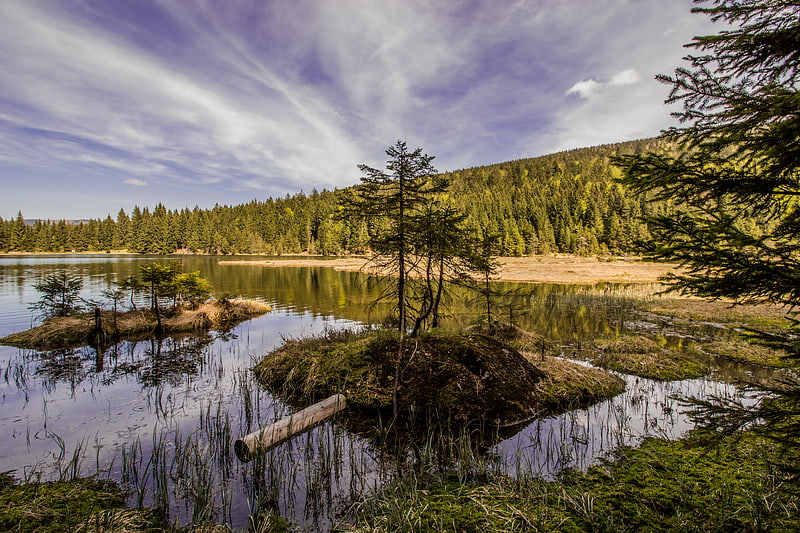 kleiner arbersee lohberg