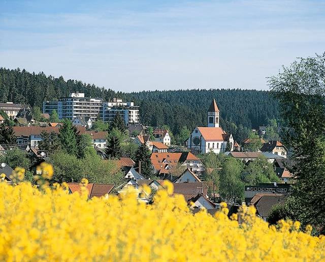 fachklinik sonnenhof waldachtal