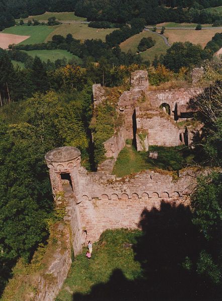 Burg Wildenberg