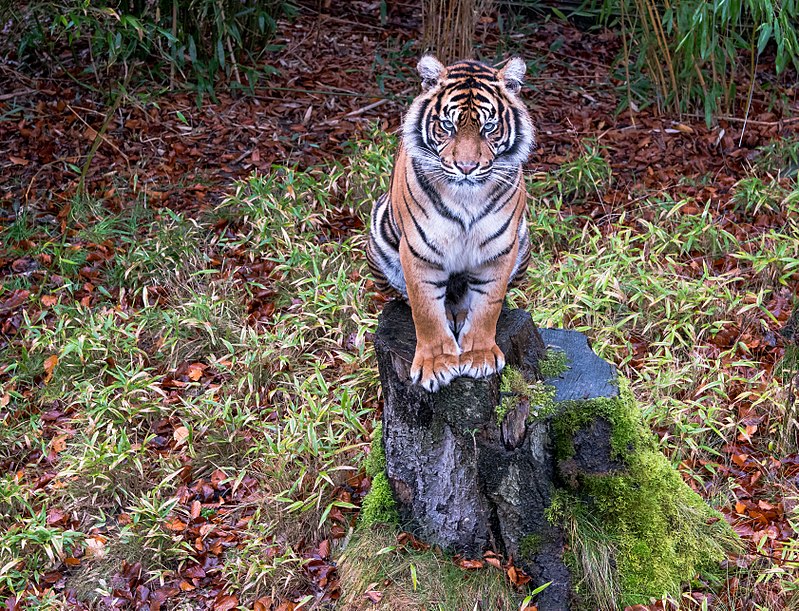 Zoo Osnabrück