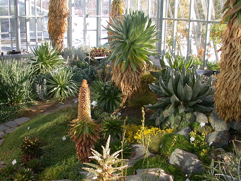 Jardín botánico ecológico de Bayreuth