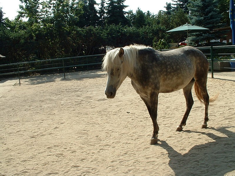 Oderbruchzoo Altreetz