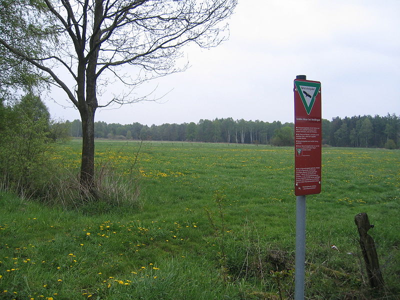 Großes Moor bei Becklingen
