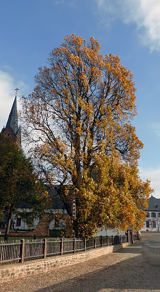 Basilique Saint-Marcellin-et-Saint-Pierre de Seligenstadt