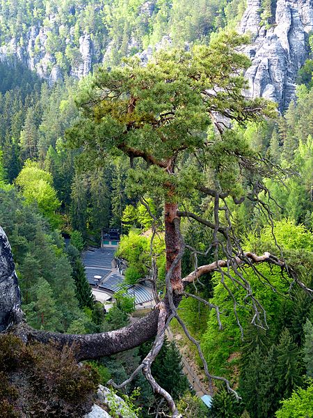 Felsenbühne Rathen