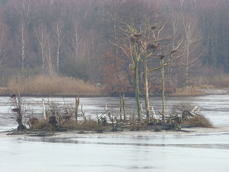 Meißendorf Lakes and Bannetze Moor