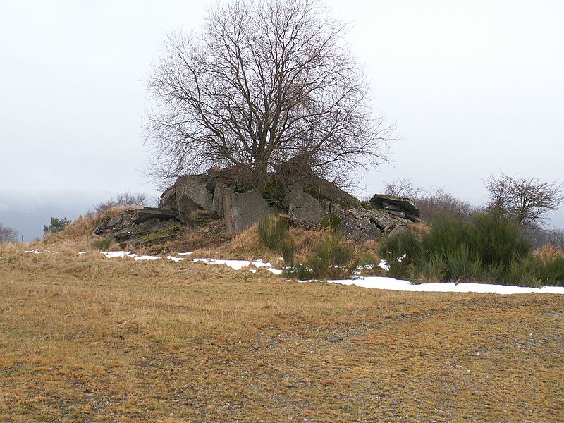 Vogelsang Military Training Area