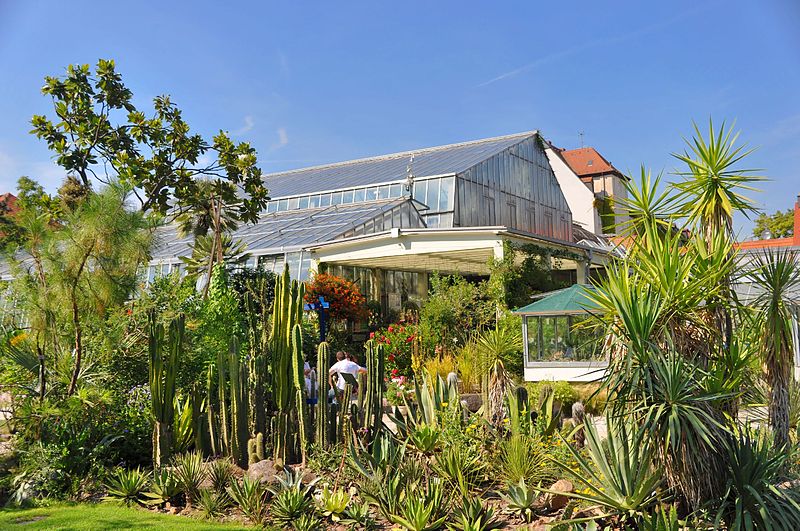 Jardín botánico de Erlangen