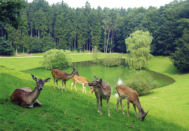 Schwarze Berge Wildlife Park