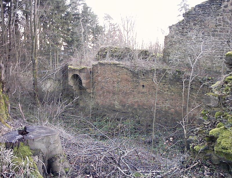 Burg Rauheneck