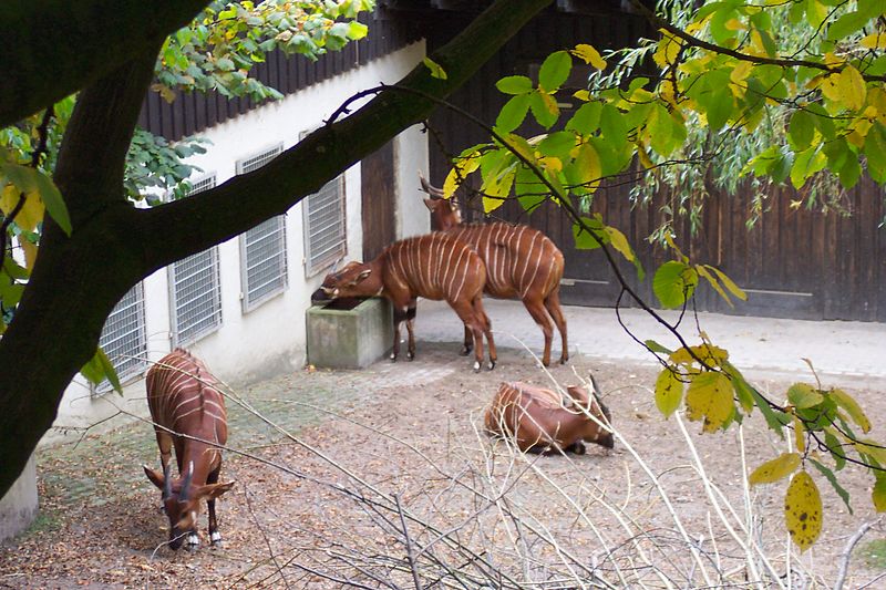 Wuppertal Zoo