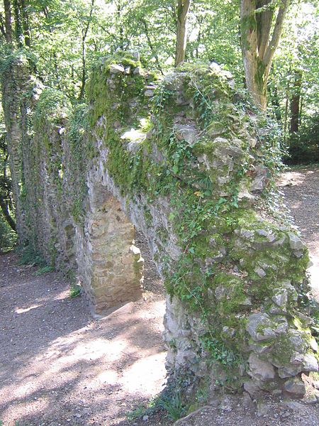 Wiesneck Castle