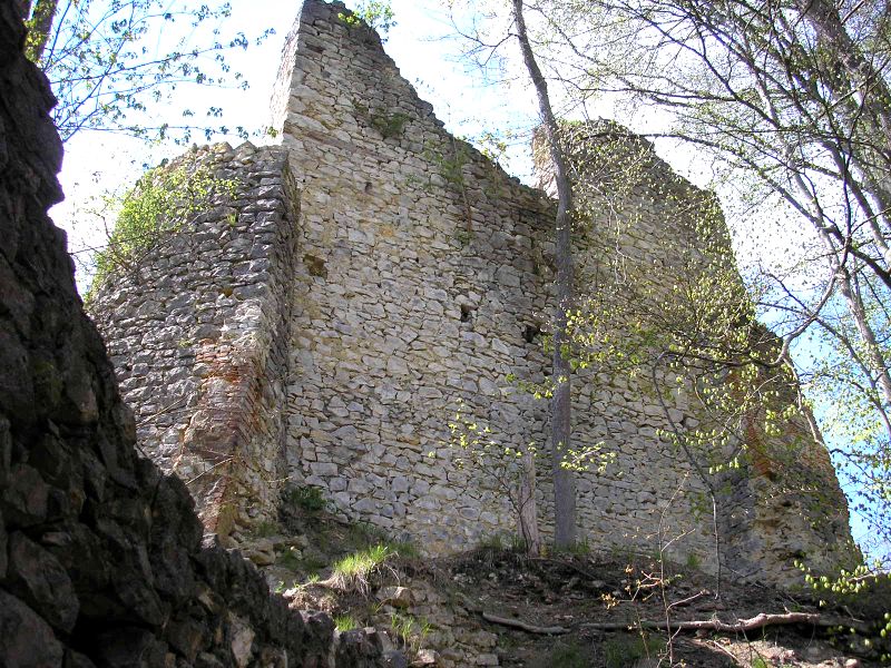 Burg Kaltenburg