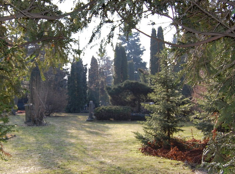 Buckauer Friedhof