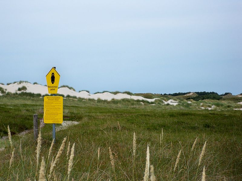 Naturschutzgebiet Amrumer Dünen