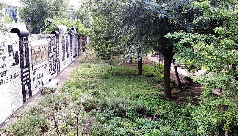 Parlement des arbres